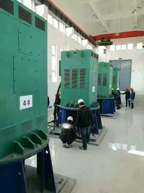 昌宁某污水处理厂使用我厂的立式高压电机安装现场